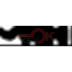 ERREBI - TKBYZ2* - MULTIPROF. E PASS ESTERO - 05B-OTT