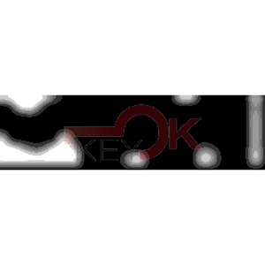 ERREBI - TKBYZ4* - MULTIPROF. E PASS ESTERO - 05B-OTT