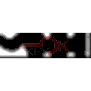 ERREBI - TKX1* - MULTIPROF. E PASS ESTERO - 05B-OTT