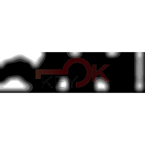 ERREBI - TKX10R* - MULTIPROF. E PASS ESTERO - 05B-OTT