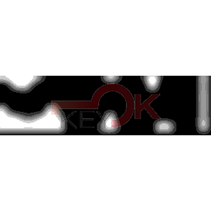 ERREBI - TKX11* - MULTIPROF. E PASS ESTERO - 05B-OTT