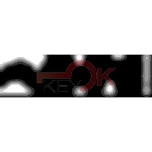 ERREBI - TKX11R* - MULTIPROF. E PASS ESTERO - 05B-OTT