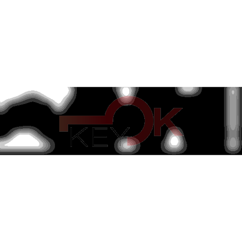 ERREBI - TKX11R* - MULTIPROF. E PASS ESTERO - 05B-OTT