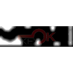 ERREBI - TKX12* - MULTIPROF. E PASS ESTERO - 05B-OTT