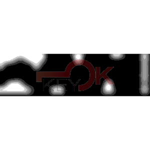 ERREBI - TKX12R* - MULTIPROF. E PASS ESTERO - 05B-OTT