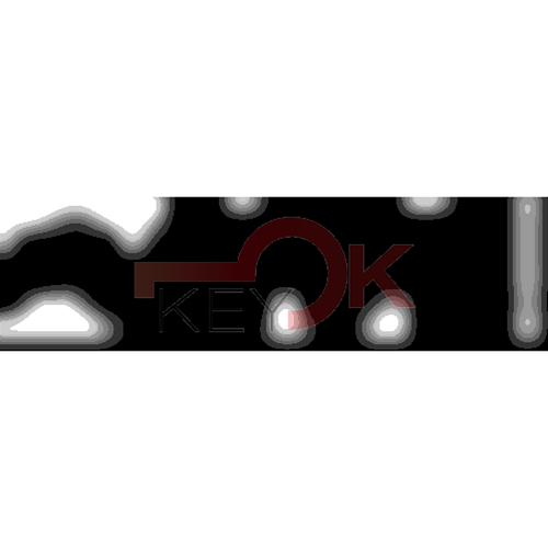 ERREBI - TKX13R* - MULTIPROF. E PASS ESTERO - 05B-OTT