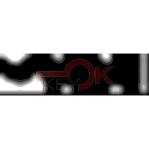 ERREBI - TKX14* - MULTIPROF. E PASS ESTERO - 05B-OTT