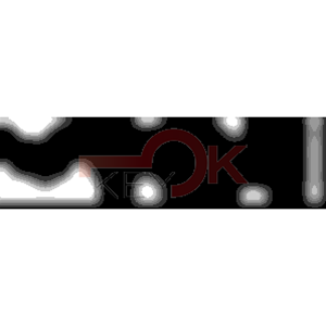 ERREBI - TKX15* - MULTIPROF. E PASS ESTERO - 05B-OTT