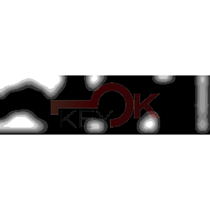 ERREBI - TKX15R* - MULTIPROF. E PASS ESTERO - 05B-OTT