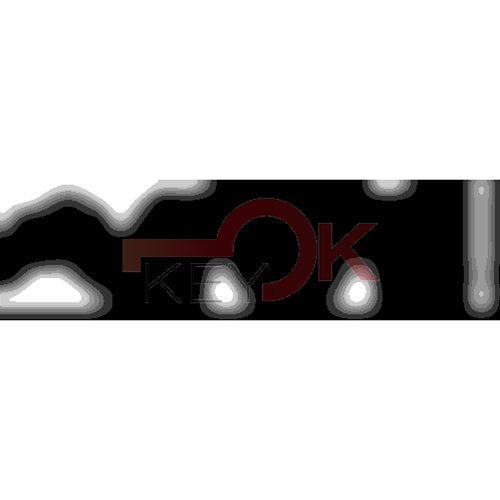 ERREBI - TKX16R* - MULTIPROF. E PASS ESTERO - 05B-OTT