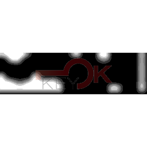 ERREBI - TKX17* - MULTIPROF. E PASS ESTERO - 05B-OTT