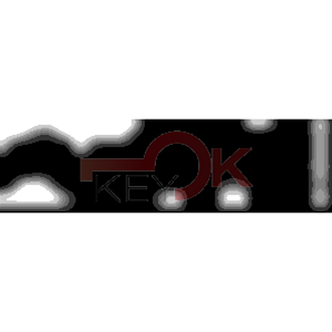 ERREBI - TKX17R* - MULTIPROF. E PASS ESTERO - 05B-OTT