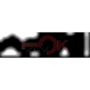 ERREBI - TKX18R* - MULTIPROF. E PASS ESTERO - 05B-OTT