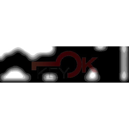 ERREBI - TKX18R* - MULTIPROF. E PASS ESTERO - 05B-OTT