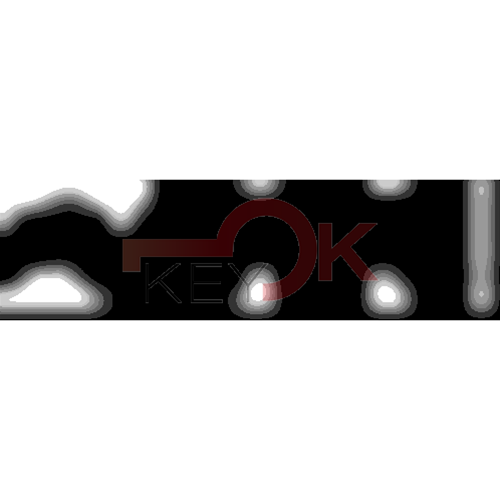 ERREBI - TKX1R* - MULTIPROF. E PASS ESTERO - 05B-OTT