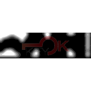 ERREBI - TKX2R* - MULTIPROF. E PASS ESTERO - 05B-OTT