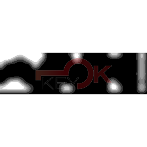 ERREBI - TKX3R* - MULTIPROF. E PASS ESTERO - 05B-OTT