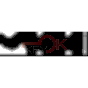 ERREBI - TKX4* - MULTIPROF. E PASS ESTERO - 05B-OTT