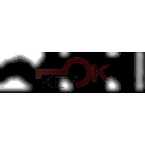 ERREBI - TKX4R* - MULTIPROF. E PASS ESTERO - 05B-OTT