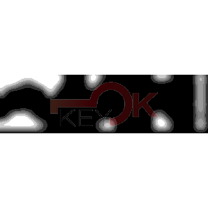 ERREBI - TKX5R* - MULTIPROF. E PASS ESTERO - 05B-OTT