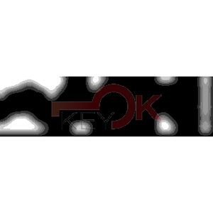 ERREBI - TKX6R* - MULTIPROF. E PASS ESTERO - 05B-OTT