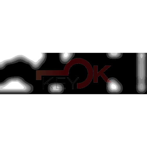 ERREBI - TKX6R* - MULTIPROF. E PASS ESTERO - 05B-OTT