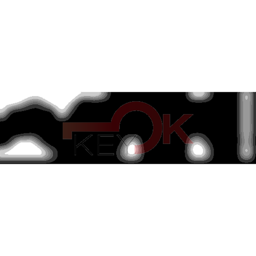 ERREBI - TKX7R* - MULTIPROF. E PASS ESTERO - 05B-OTT