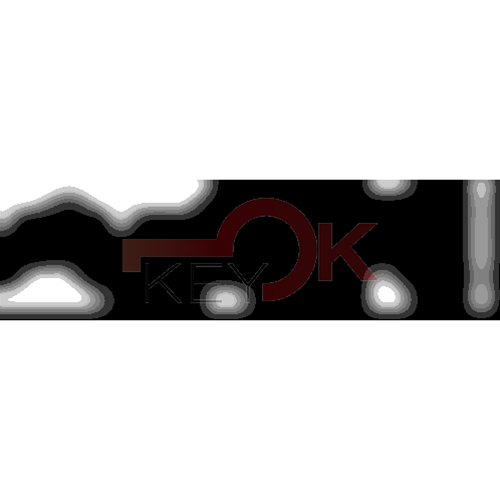 ERREBI - TKX9R* - MULTIPROF. E PASS ESTERO - 05B-OTT