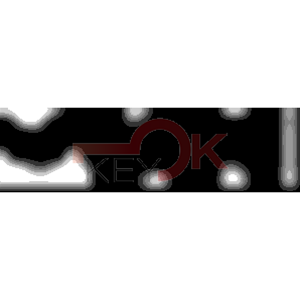 ERREBI - TKY1* - MULTIPROF. E PASS ESTERO - 05B-OTT