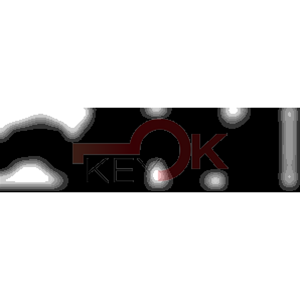 ERREBI - TKY10R* - MULTIPROF. E PASS ESTERO - 05B-OTT