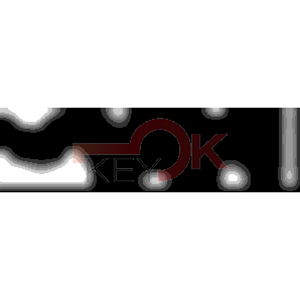 ERREBI - TKY11* - MULTIPROF. E PASS ESTERO - 05B-OTT