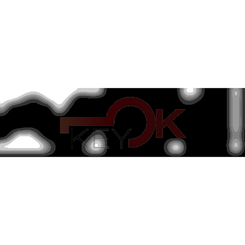 ERREBI - TKY17R* - MULTIPROF. E PASS ESTERO - 05B-OTT