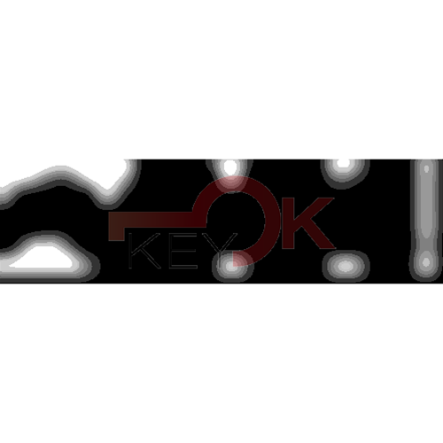 ERREBI - TKY2R* - MULTIPROF. E PASS ESTERO - 05B-OTT