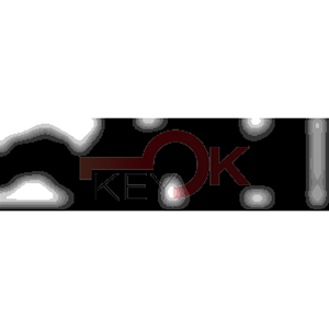 ERREBI - TKY4R* - MULTIPROF. E PASS ESTERO - 05B-OTT