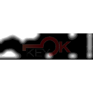 ERREBI - TKY8R* - MULTIPROF. E PASS ESTERO - 05B-OTT