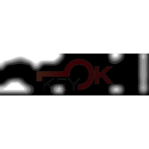 ERREBI - TKY9R* - MULTIPROF. E PASS ESTERO - 05B-OTT