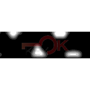 ERREBI - TKZ10* - MULTIPROF. E PASS ESTERO - 05B-OTT