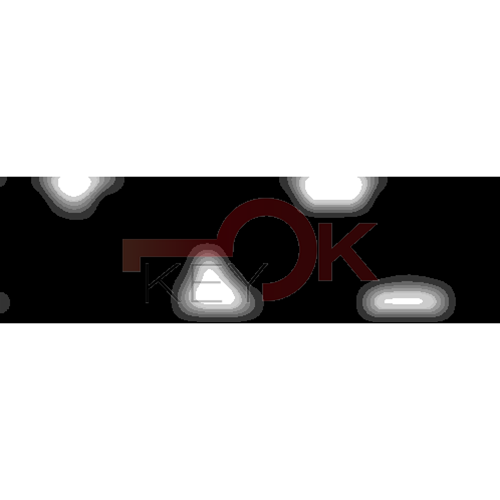 ERREBI - TKZ10* - MULTIPROF. E PASS ESTERO - 05B-OTT