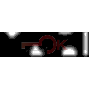 ERREBI - TKZ15* - MULTIPROF. E PASS ESTERO - 05B-OTT