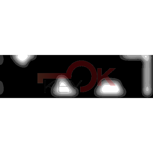 ERREBI - TKZ17* - MULTIPROF. E PASS ESTERO - 05B-OTT