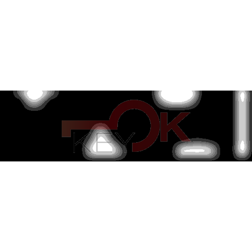 ERREBI - TKZ6* - MULTIPROF. E PASS ESTERO - 05B-OTT