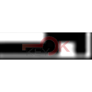 ERREBI - TR14 - GAMMA DI SERVIZIO ESTERO - 03S-ACC