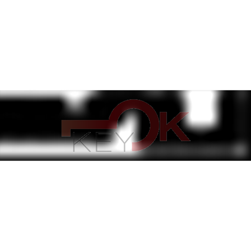 ERREBI - TS17* - MULTIPROF. E PASS ESTERO - 05B-OTT