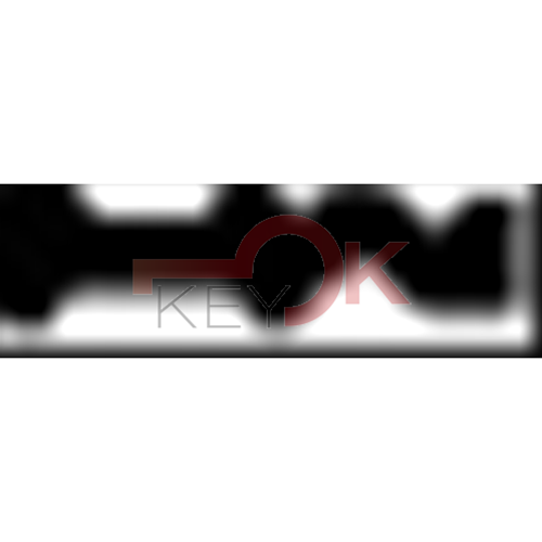 ERREBI - TV21* - MULTIPROF. E PASS ESTERO - 05B-OTT