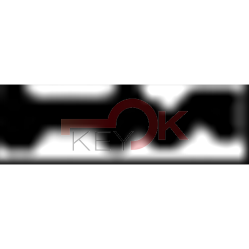 ERREBI - TV21R* - MULTIPROF. E PASS ESTERO - 05B-OTT