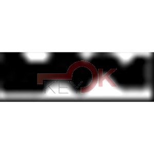 ERREBI - TV22* - MULTIPROF. E PASS ESTERO - 05B-OTT