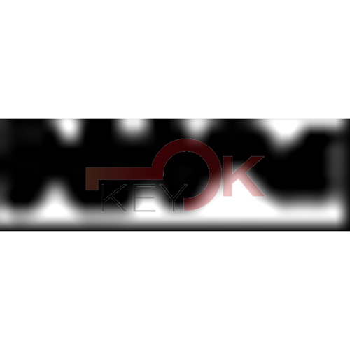 ERREBI - TV23* - MULTIPROF. E PASS ESTERO - 05B-OTT