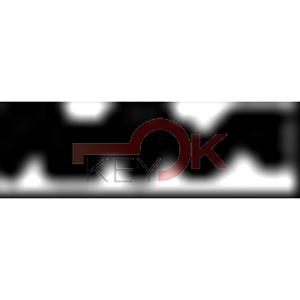 ERREBI - TV25* - MULTIPROF. E PASS ESTERO - 05B-OTT