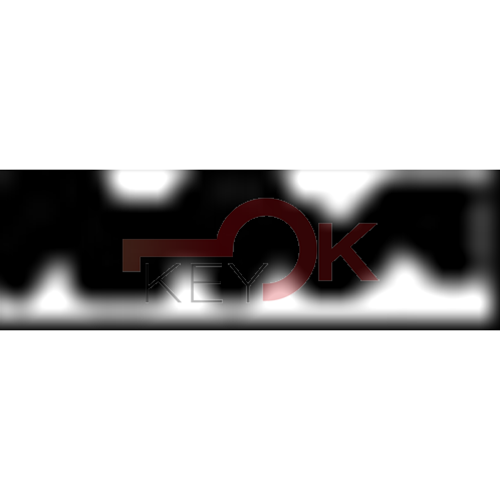 ERREBI - TV25* - MULTIPROF. E PASS ESTERO - 05B-OTT