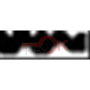 ERREBI - TV25R* - MULTIPROF. E PASS ESTERO - 05B-OTT